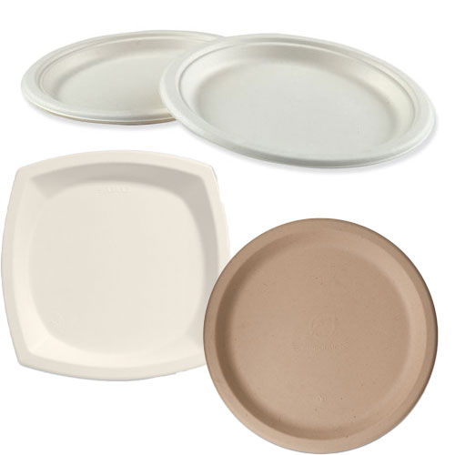 Why Your Workplace Needs EcoFriendly Disposable Alternatives